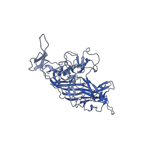 0663_6o9r_A_v1-3
The capsid structure of empty AAVrh.10 particles