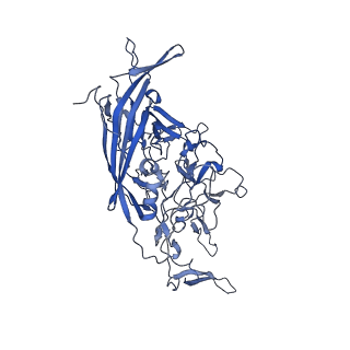 0663_6o9r_C_v1-3
The capsid structure of empty AAVrh.10 particles