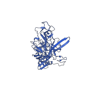 0663_6o9r_D_v1-3
The capsid structure of empty AAVrh.10 particles