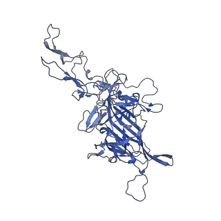 0663_6o9r_H_v1-3
The capsid structure of empty AAVrh.10 particles