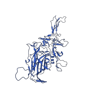 0663_6o9r_I_v1-3
The capsid structure of empty AAVrh.10 particles