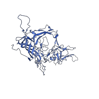 0663_6o9r_J_v1-3
The capsid structure of empty AAVrh.10 particles