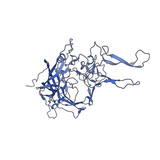 0663_6o9r_M_v1-3
The capsid structure of empty AAVrh.10 particles