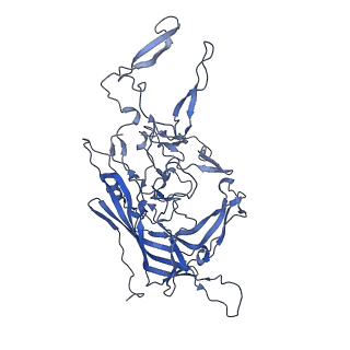 0663_6o9r_N_v1-3
The capsid structure of empty AAVrh.10 particles