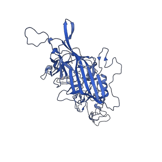 0663_6o9r_O_v1-3
The capsid structure of empty AAVrh.10 particles