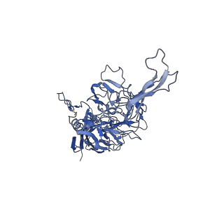 0663_6o9r_Q_v1-3
The capsid structure of empty AAVrh.10 particles