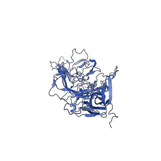 0663_6o9r_R_v1-3
The capsid structure of empty AAVrh.10 particles