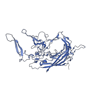 0663_6o9r_S_v1-3
The capsid structure of empty AAVrh.10 particles