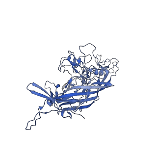 0663_6o9r_T_v1-3
The capsid structure of empty AAVrh.10 particles