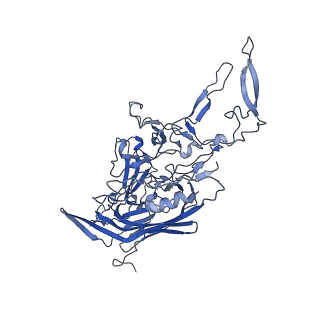 0663_6o9r_U_v1-3
The capsid structure of empty AAVrh.10 particles