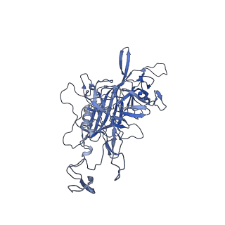 0663_6o9r_W_v1-3
The capsid structure of empty AAVrh.10 particles