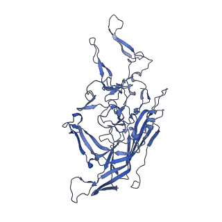 0663_6o9r_X_v1-3
The capsid structure of empty AAVrh.10 particles