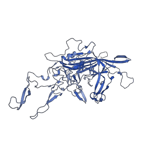 0663_6o9r_Z_v1-3
The capsid structure of empty AAVrh.10 particles