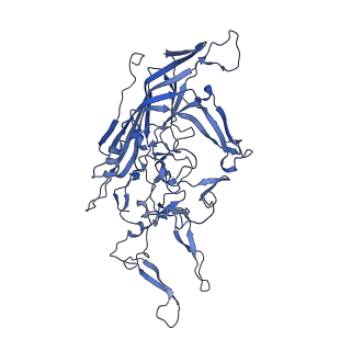 0663_6o9r_a_v1-3
The capsid structure of empty AAVrh.10 particles