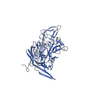 0663_6o9r_b_v1-3
The capsid structure of empty AAVrh.10 particles