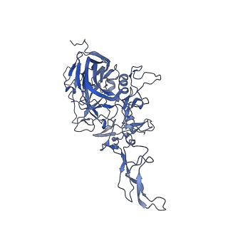 0663_6o9r_c_v1-3
The capsid structure of empty AAVrh.10 particles