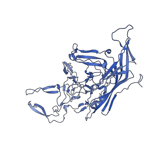 0663_6o9r_d_v1-3
The capsid structure of empty AAVrh.10 particles