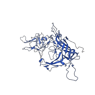 0663_6o9r_f_v1-3
The capsid structure of empty AAVrh.10 particles