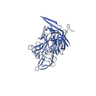 0663_6o9r_i_v1-3
The capsid structure of empty AAVrh.10 particles