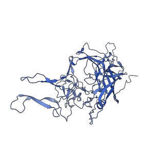 0663_6o9r_j_v1-3
The capsid structure of empty AAVrh.10 particles