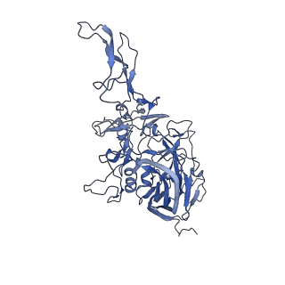 0663_6o9r_l_v1-3
The capsid structure of empty AAVrh.10 particles