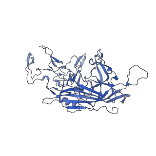 0663_6o9r_m_v1-3
The capsid structure of empty AAVrh.10 particles