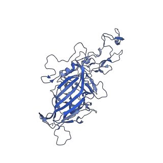 0663_6o9r_n_v1-3
The capsid structure of empty AAVrh.10 particles