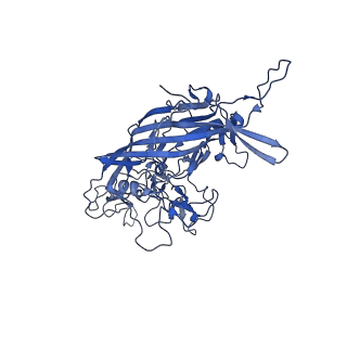 0663_6o9r_o_v1-3
The capsid structure of empty AAVrh.10 particles