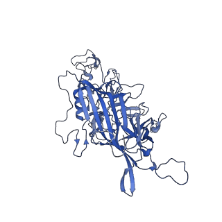 0663_6o9r_q_v1-3
The capsid structure of empty AAVrh.10 particles