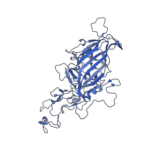 0663_6o9r_s_v1-3
The capsid structure of empty AAVrh.10 particles