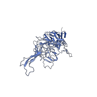 0663_6o9r_t_v1-3
The capsid structure of empty AAVrh.10 particles