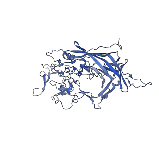 0663_6o9r_u_v1-3
The capsid structure of empty AAVrh.10 particles