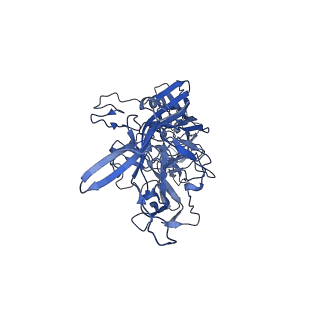 0663_6o9r_w_v1-3
The capsid structure of empty AAVrh.10 particles