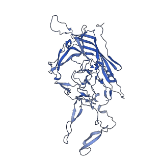 0663_6o9r_x_v1-3
The capsid structure of empty AAVrh.10 particles