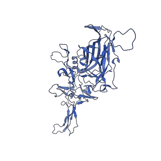 0663_6o9r_z_v1-3
The capsid structure of empty AAVrh.10 particles