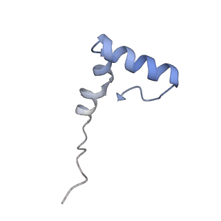 12763_7o9k_2_v1-0
Human mitochondrial ribosome large subunit assembly intermediate with MTERF4-NSUN4, MRM2, MTG1, the MALSU module, GTPBP5 and mtEF-Tu