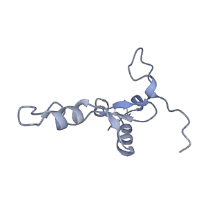 12763_7o9k_3_v1-0
Human mitochondrial ribosome large subunit assembly intermediate with MTERF4-NSUN4, MRM2, MTG1, the MALSU module, GTPBP5 and mtEF-Tu