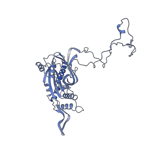 12763_7o9k_5_v1-0
Human mitochondrial ribosome large subunit assembly intermediate with MTERF4-NSUN4, MRM2, MTG1, the MALSU module, GTPBP5 and mtEF-Tu