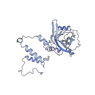 12763_7o9k_6_v1-0
Human mitochondrial ribosome large subunit assembly intermediate with MTERF4-NSUN4, MRM2, MTG1, the MALSU module, GTPBP5 and mtEF-Tu
