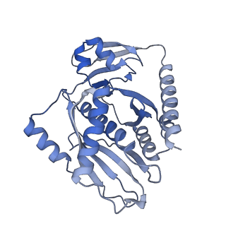 12763_7o9k_7_v1-0
Human mitochondrial ribosome large subunit assembly intermediate with MTERF4-NSUN4, MRM2, MTG1, the MALSU module, GTPBP5 and mtEF-Tu