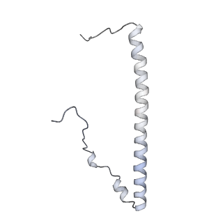 12763_7o9k_8_v1-0
Human mitochondrial ribosome large subunit assembly intermediate with MTERF4-NSUN4, MRM2, MTG1, the MALSU module, GTPBP5 and mtEF-Tu