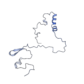 12763_7o9k_9_v1-0
Human mitochondrial ribosome large subunit assembly intermediate with MTERF4-NSUN4, MRM2, MTG1, the MALSU module, GTPBP5 and mtEF-Tu