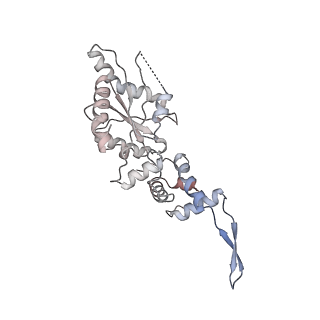 12763_7o9k_C_v1-0
Human mitochondrial ribosome large subunit assembly intermediate with MTERF4-NSUN4, MRM2, MTG1, the MALSU module, GTPBP5 and mtEF-Tu
