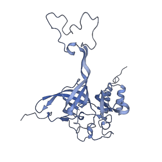 12763_7o9k_E_v1-0
Human mitochondrial ribosome large subunit assembly intermediate with MTERF4-NSUN4, MRM2, MTG1, the MALSU module, GTPBP5 and mtEF-Tu