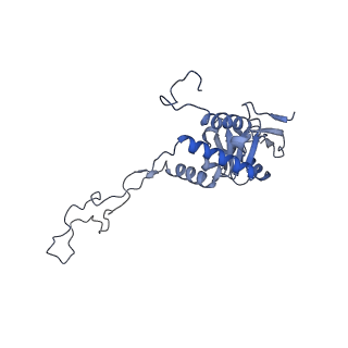 12763_7o9k_F_v1-0
Human mitochondrial ribosome large subunit assembly intermediate with MTERF4-NSUN4, MRM2, MTG1, the MALSU module, GTPBP5 and mtEF-Tu