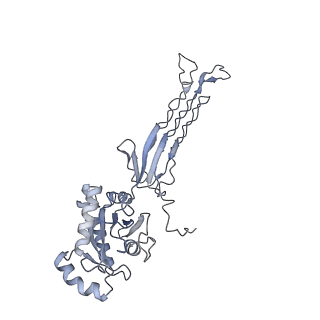12763_7o9k_G_v1-0
Human mitochondrial ribosome large subunit assembly intermediate with MTERF4-NSUN4, MRM2, MTG1, the MALSU module, GTPBP5 and mtEF-Tu