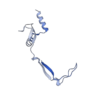 12763_7o9k_H_v1-0
Human mitochondrial ribosome large subunit assembly intermediate with MTERF4-NSUN4, MRM2, MTG1, the MALSU module, GTPBP5 and mtEF-Tu
