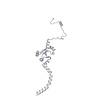 12763_7o9k_I_v1-0
Human mitochondrial ribosome large subunit assembly intermediate with MTERF4-NSUN4, MRM2, MTG1, the MALSU module, GTPBP5 and mtEF-Tu