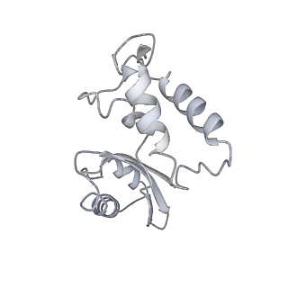 12763_7o9k_J_v1-0
Human mitochondrial ribosome large subunit assembly intermediate with MTERF4-NSUN4, MRM2, MTG1, the MALSU module, GTPBP5 and mtEF-Tu
