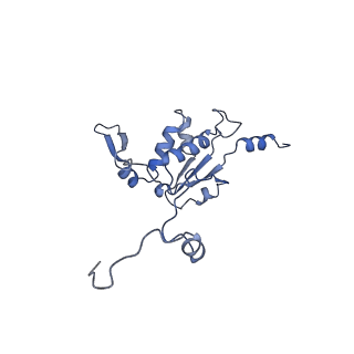 12763_7o9k_K_v1-0
Human mitochondrial ribosome large subunit assembly intermediate with MTERF4-NSUN4, MRM2, MTG1, the MALSU module, GTPBP5 and mtEF-Tu